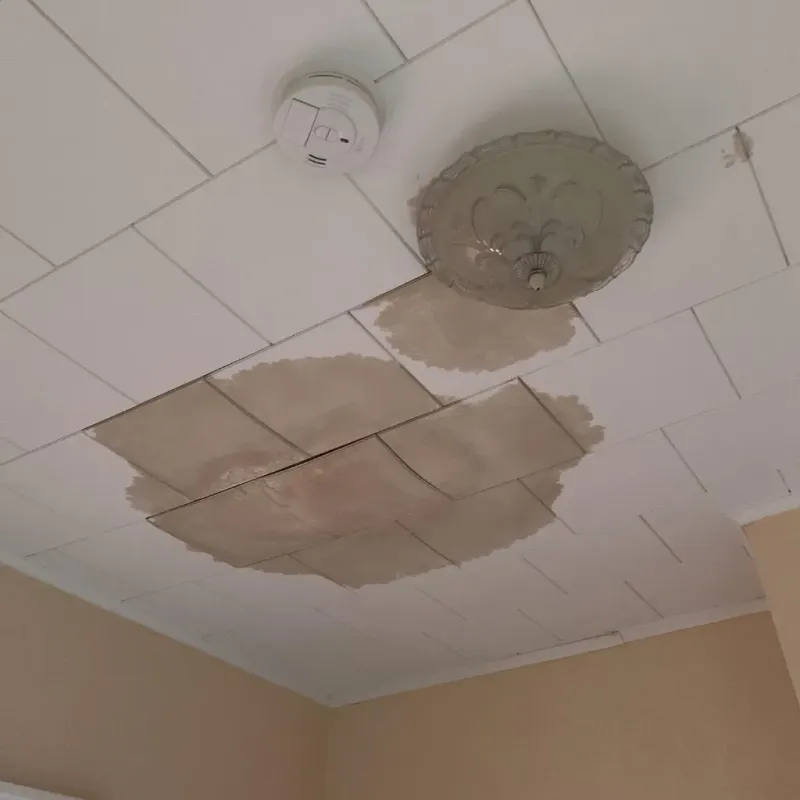 Ceiling Water Damage Repair in Marvin, NC